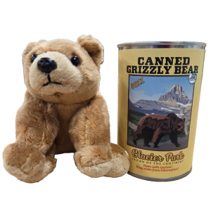 Canned Grizzly Bear (Glacier Park)